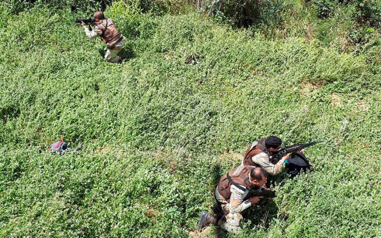 Com auxílio de drone, polícia encontra plantação com 200 mil pés de maconha