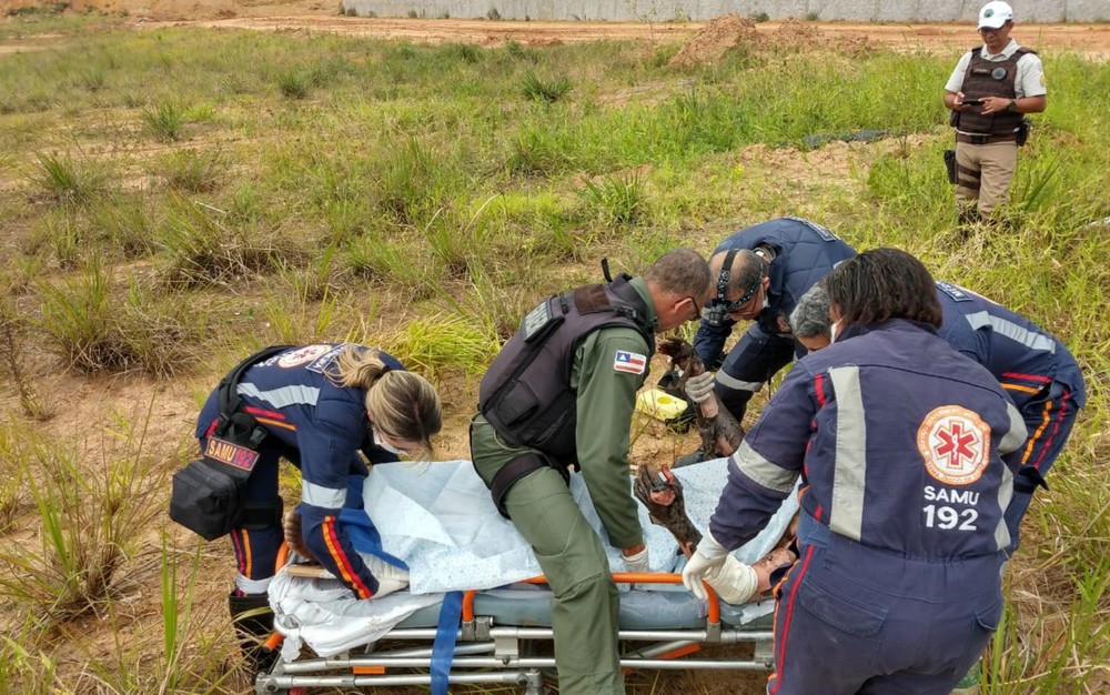 Motorista tem mais de 90% do corpo queimado em incêndio de carreta carregada de óleo na Bahia
